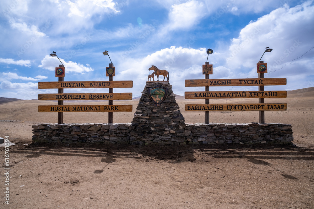 Hustai National Park, is located in Central Mongolia, it is home to the rare and endangered Przewalski's horses, the only species of wild horses in the world