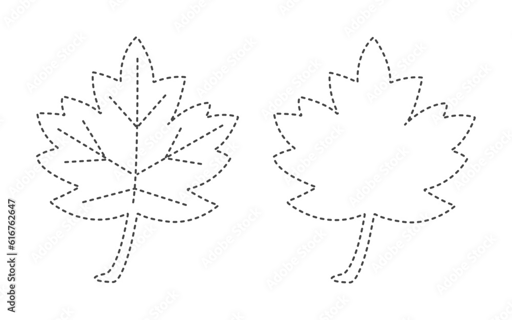 Trace and color maple leaf with dashed line for practice in