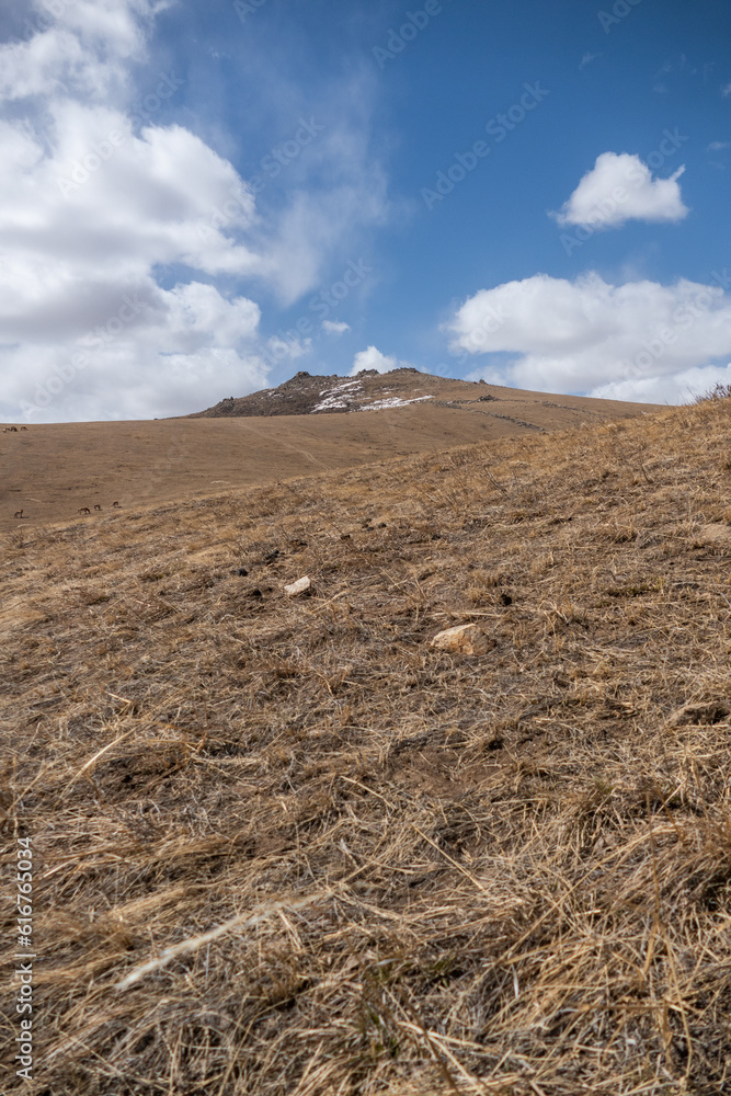 Landscape in Hustai National Park as known Khustain Nuruu National Park, Central Mongolia Landscape in Hustai National Park as known Khustain Nuruu National Park, Central Mongolia