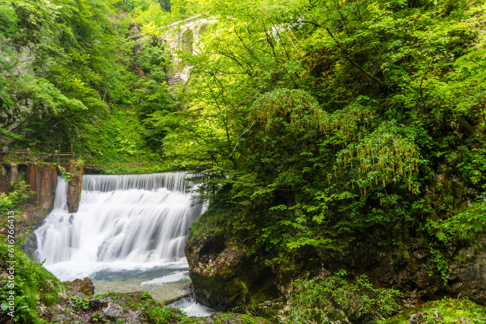 Sum falls waterfalls at vintgar gorge Slovenia Sum falls waterfalls at vintgar gorge Slovenia