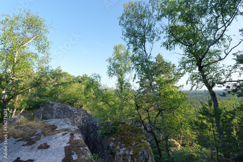 Rocher de la Reine point of view in Fontainebleau forest
