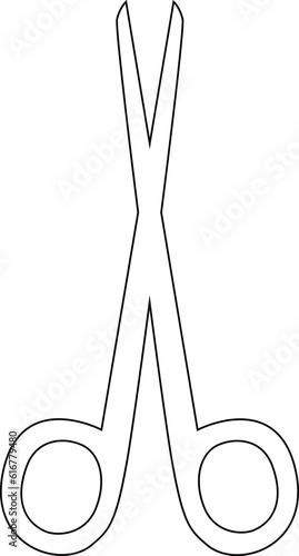 Scissors for manicure tool of the master of manicure.