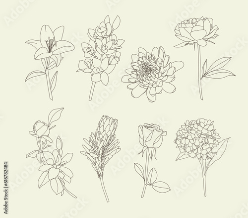 Vector set flowers illustration. Botanical flowers outline with leaves. Decorative floral line art. Ornate contour flowers for coloring book.