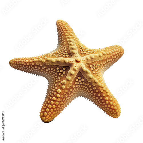color star fish isolated on white