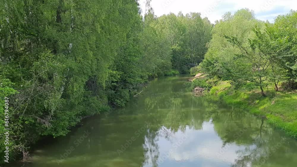 Slow flowing green river with forested banks in summer Slow flowing green river with forested banks in summer
