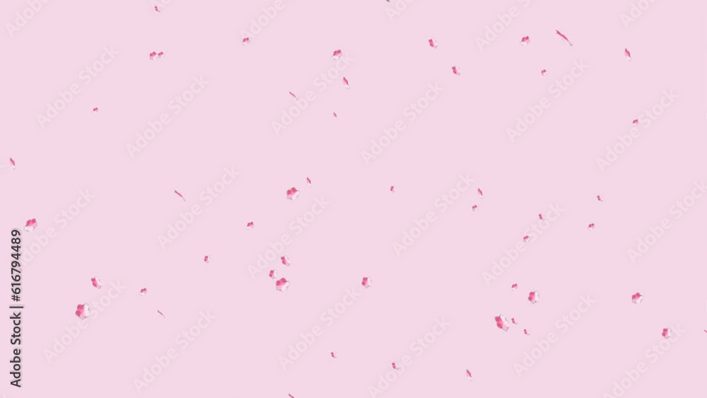 Abstract flower petals falling background and 2d animation, leaves, fall, showering, wind Abstract flower petals falling background and 2d animation, leaves, fall, showering, wind