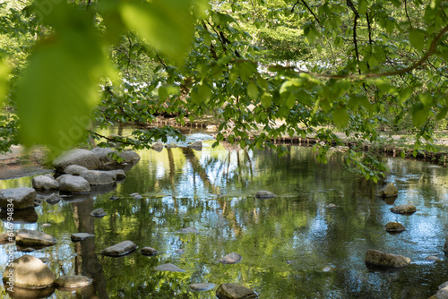 Beautiful spring lake and forest. Nature in spring. Reflection of trees in the water. Abstract natural background. Blurry silhouettes of many green spring trees  leaves reflect on peaceful surface of