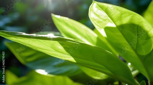 Illustration of a young juicy green leaf with water drops. Macro, bokeh, sunlight.AI