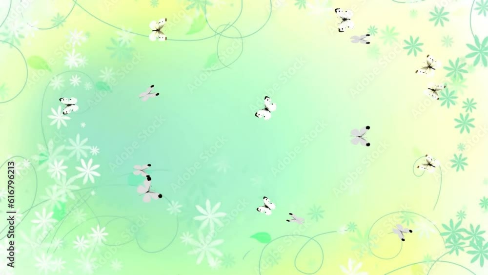 Abstract beautiful butterflies background and 2d animation, animal, insect, colorful butterflies Abstract beautiful butterflies background and 2d animation, animal, insect, colorful butterflies