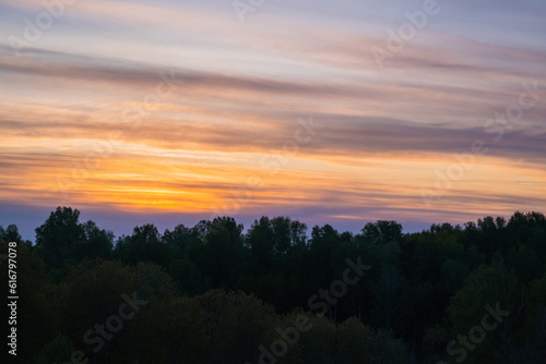 Beautiful orange sunset and forest. Nature background