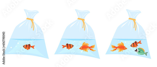 Little brightly colored fish inside plastic bag of water. Pets transportation. Aquatic animal. Goldfish floating in cellophane pouch aqua. Veterinary container. Vector aquaculture set