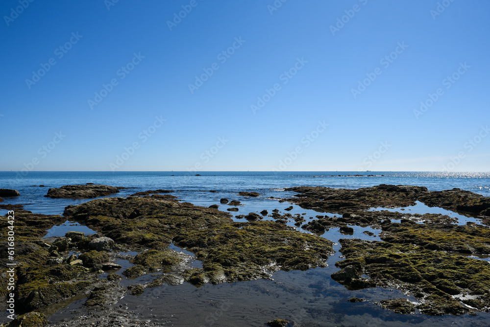 The sea with clear blue sky