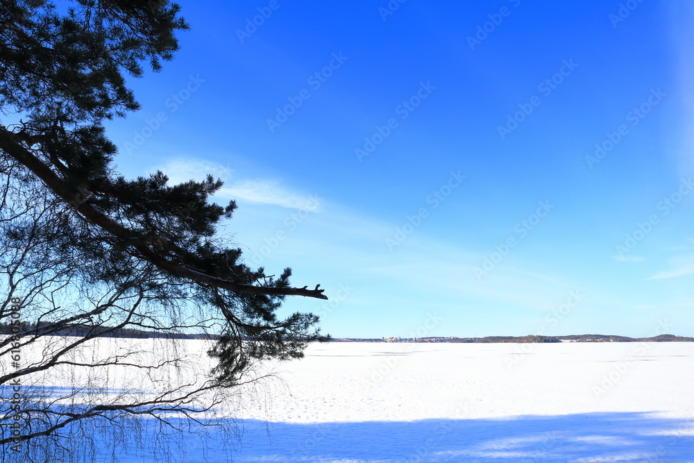 Obraz premium Winter horizon landscape photo. Snow on the ground. Blue sky. Stockholm, Sweden.