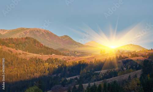 beautiful mountains and pines, View of mountains and pines in autumn, Aerial View On Spacious Pine Forest At Sunrise