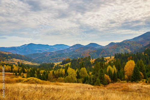 mountain autumn landscape with colorful forest © Ryzhkov Oleksandr