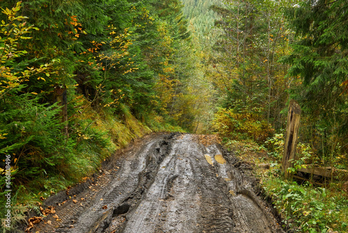 Country road through the forest with large muddy puddles after rain