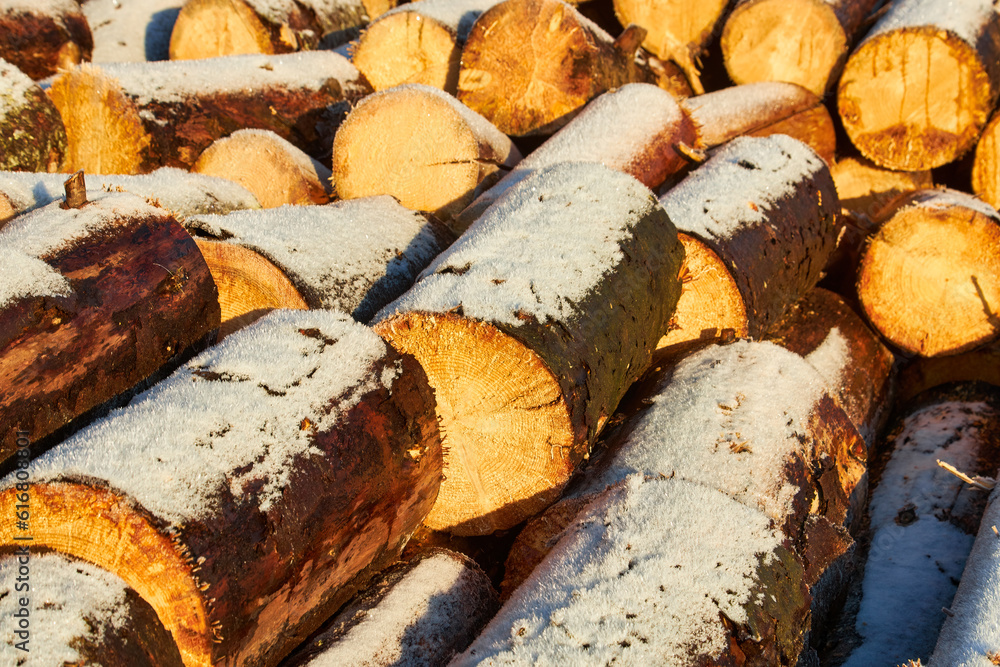 stack of sawn firewood outside under the snow stack of sawn firewood outside under the snow