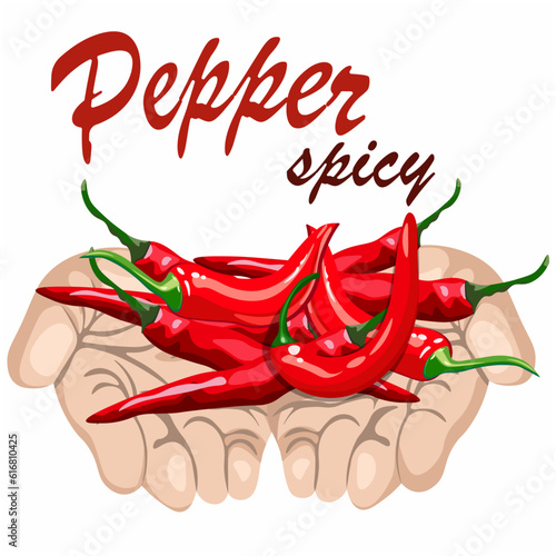 Hot red pepper in human hands