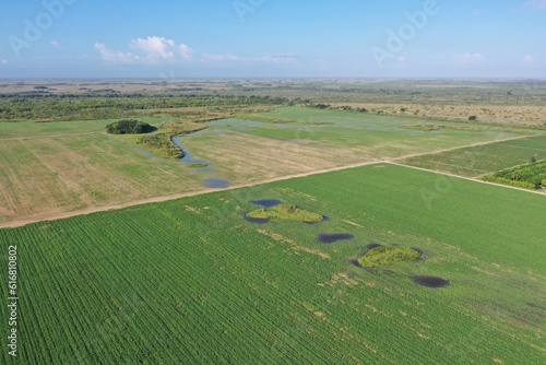Aerial image of planted fields in Homestead, Florida agricultural area near Everglades National Park on clear sunny morning.