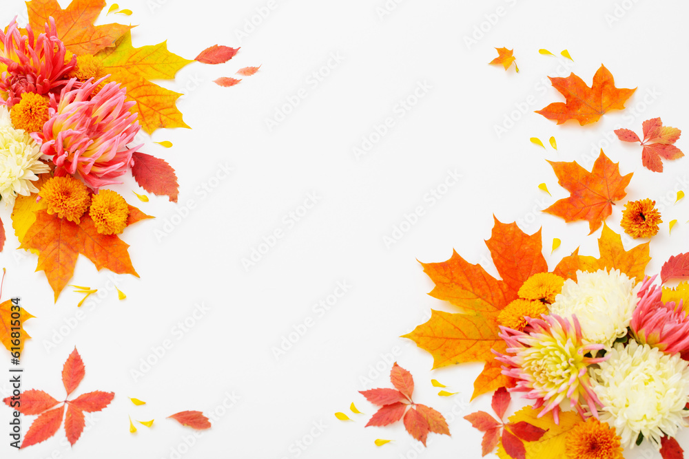 autumn leaves and  flowers composition on white background