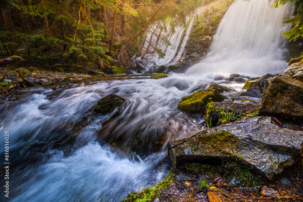 Fototapeta premium Beautiful waterfall in a lush forest