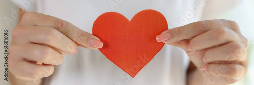 Female hands holding cute red paper hearts