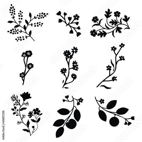 Isolated floral set