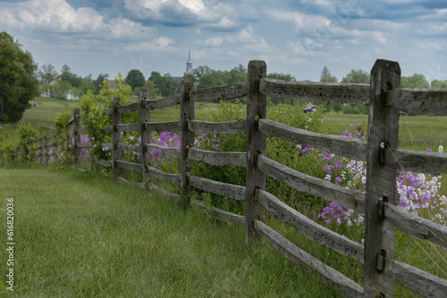 Wooden railing marks the edge of the battlefield at Gettysburg national military park, Prairie phlox in bloom