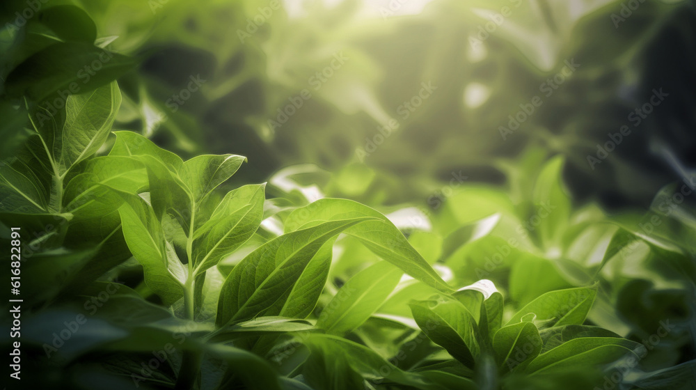 Fototapeta premium close up of leaves,Generative AI