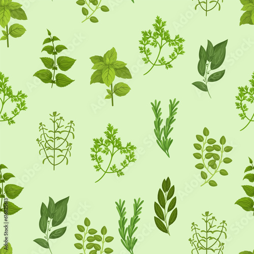 Seamless Pattern with Culinary Herbs Basil  Thyme  Rosemary  Parsley  And Oregano  Mint  Cilantro  Sage  Marjoram