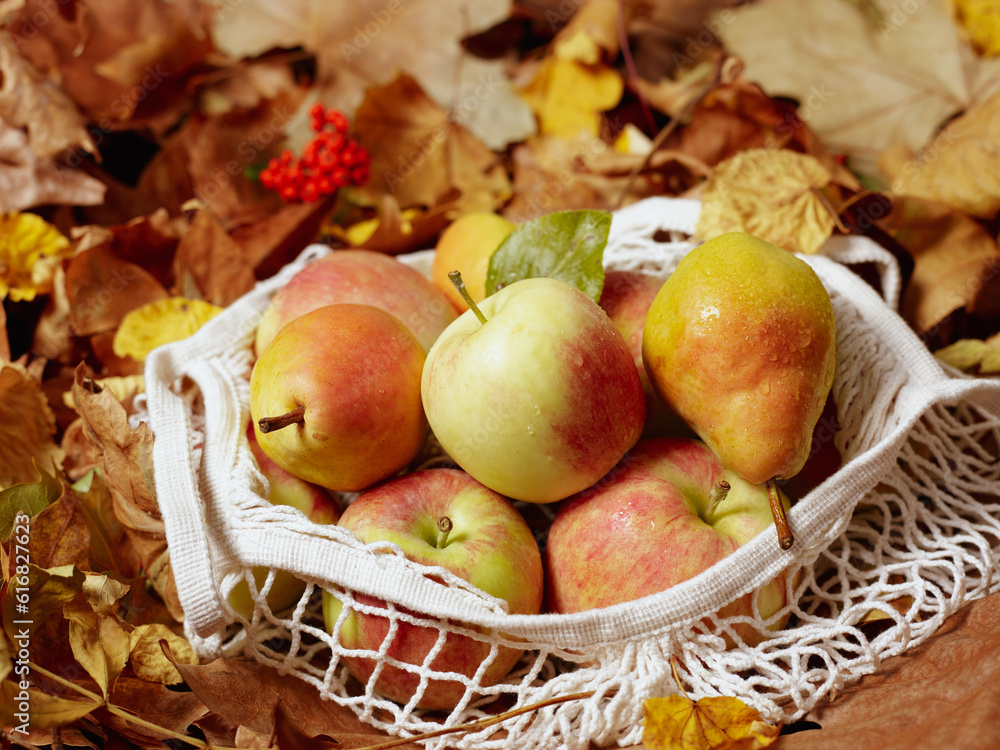autumn background with apples, pears, leaves and eco bag