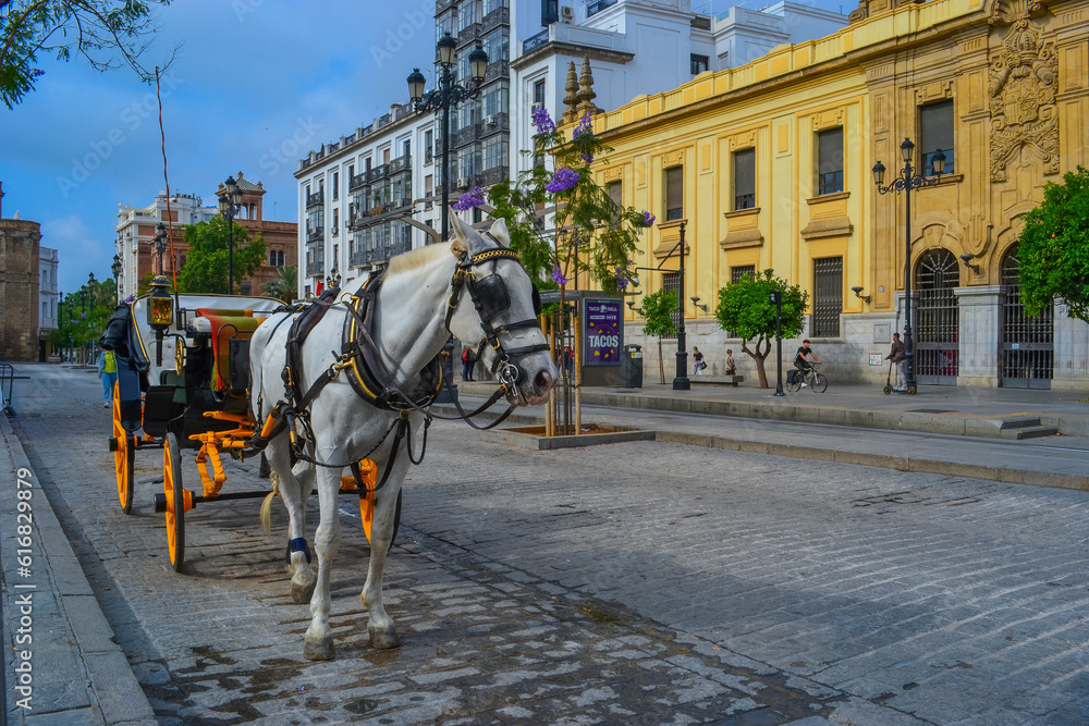 27.05.2023, Seville, Spain:One of the entertainments in the city is horse-drawn carriages. Under the style of the city, the color of the wagon is changed to yellow.