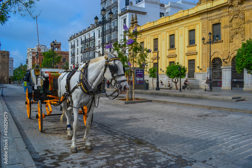 27.05.2023, Seville, Spain:One of the entertainments in the city is horse-drawn carriages. Under the style of the city, the color of the wagon is changed to yellow.