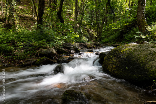 Fast  cascading  mountain spring with trees and green bushes in the background