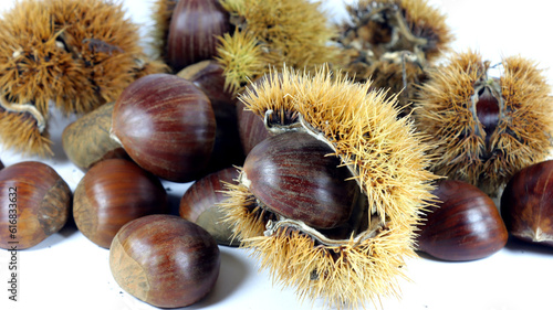 close up of chestnuts with their shells on a white background