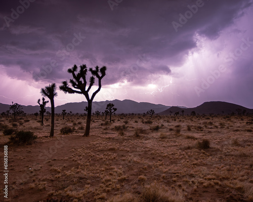 lightning in the desert