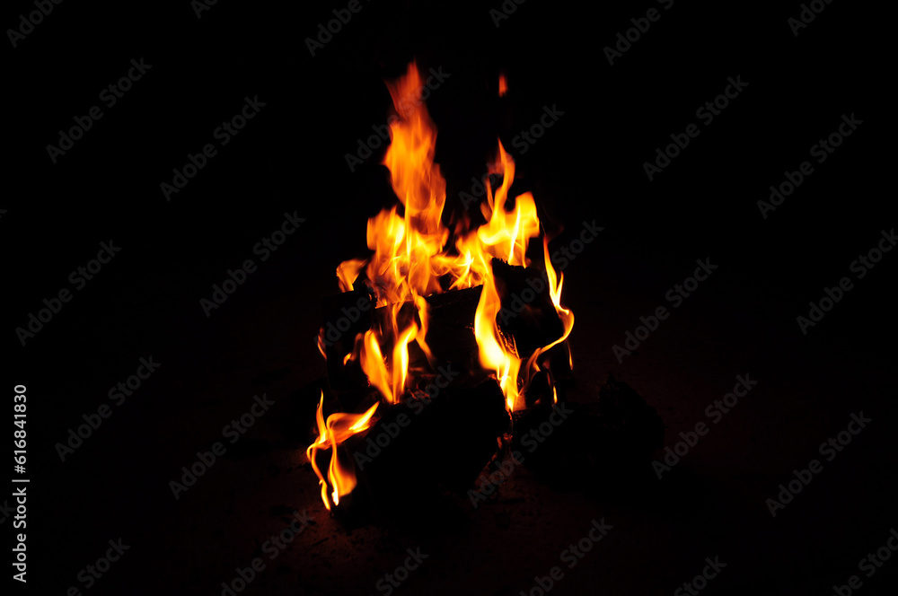 Obraz premium Fire, flame, flames on a black background.