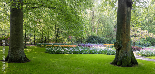Photography Panoramic view of scenic world famous Keukenhof gardens in Netherlands