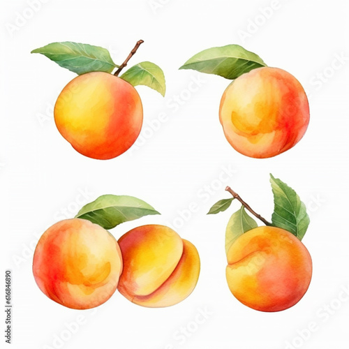 Stunning watercolor artwork showcasing an apricot.