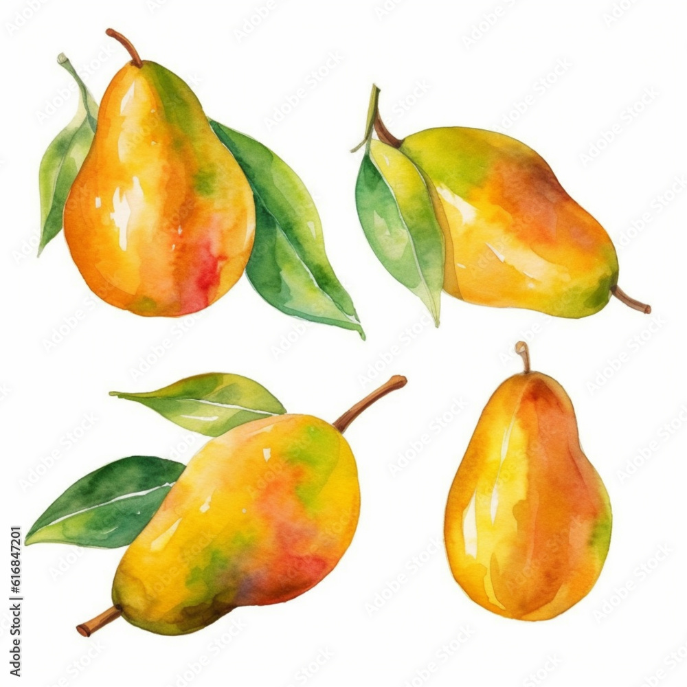 Watercolor image of a mango. Watercolor image of a mango.