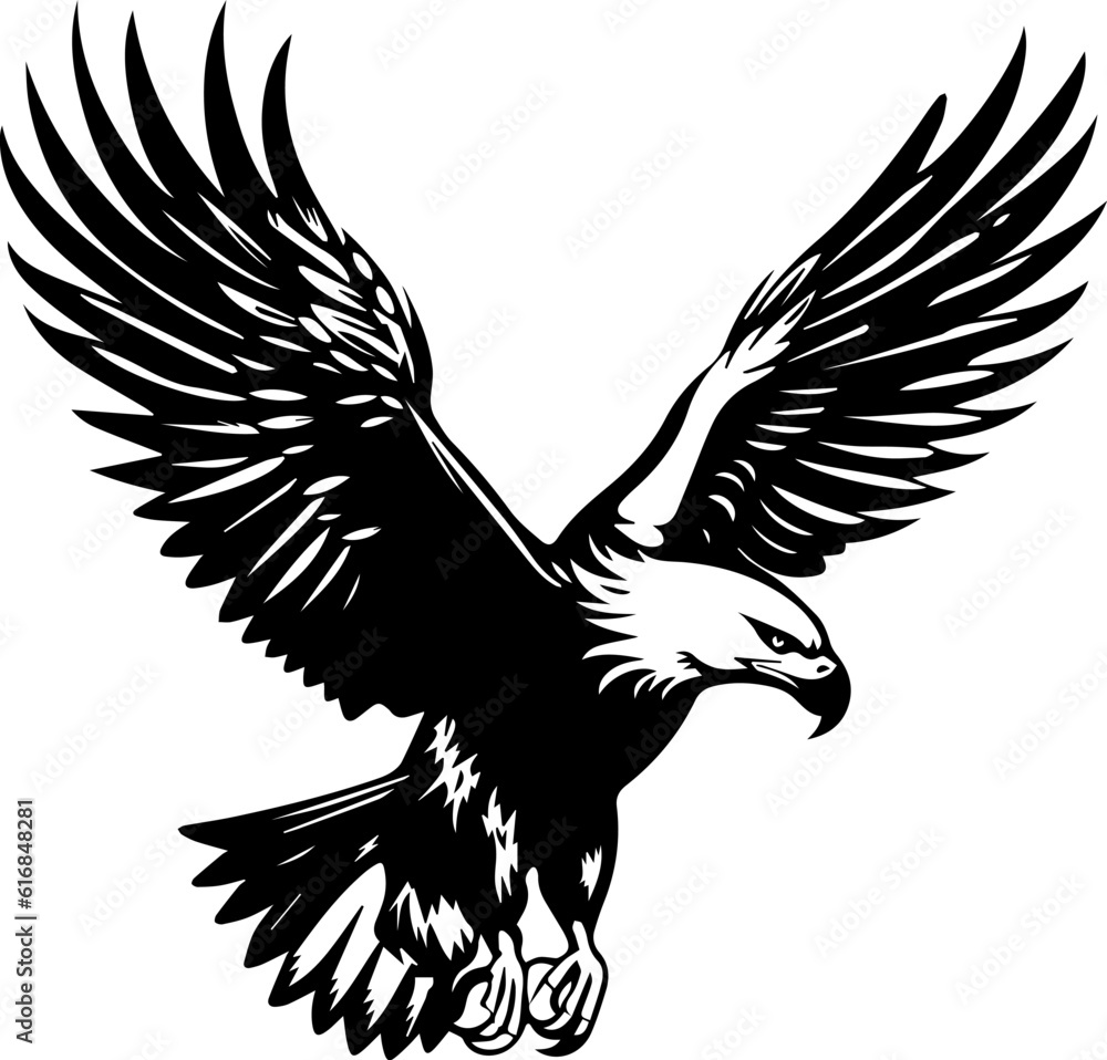Fototapeta premium Eagle Hawk Griffin Bird Wildlife Animal
