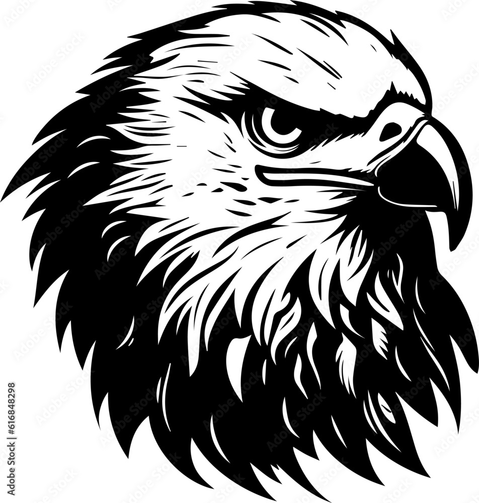 Eagle Hawk Griffin Bird Wildlife Animal