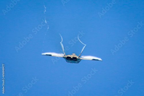 Fototapeta Naklejka Na Ścianę i Meble -  The amazing Raptor fighter jet.