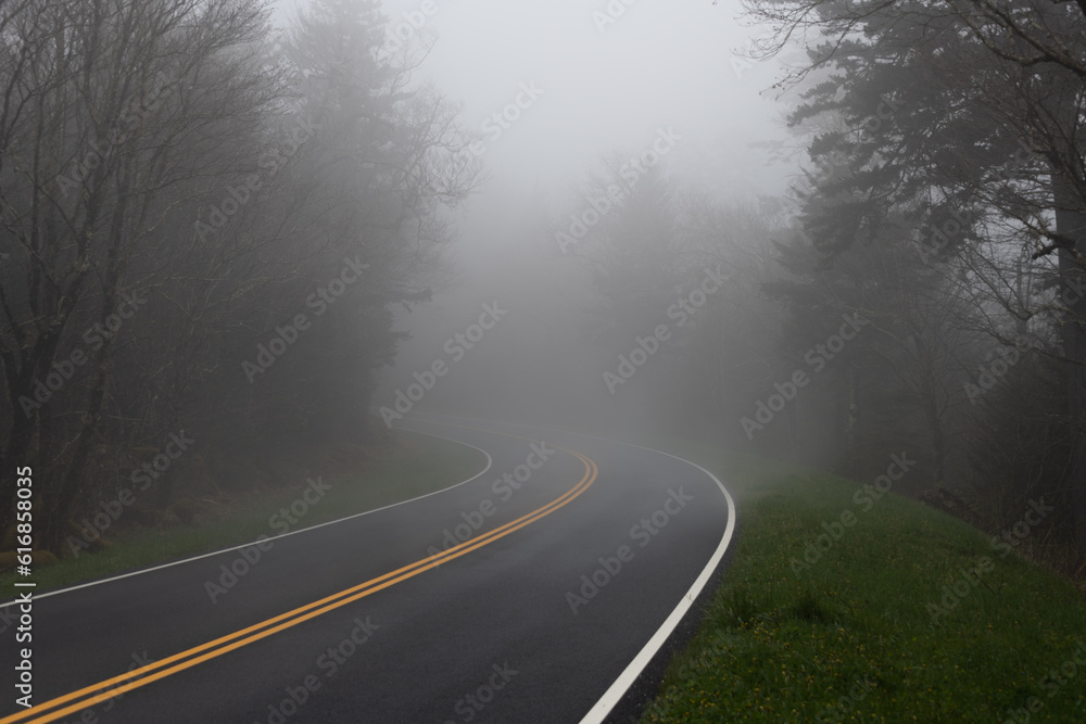 Fototapeta premium Fog on the Clingmans Dome road in the Great Smoky Mountains NP