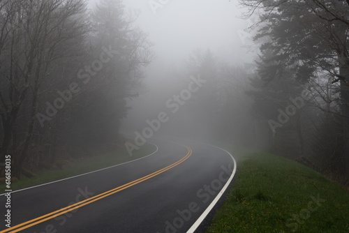 Fog on the Clingmans Dome road in the Great Smoky Mountains NP