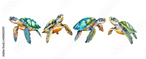 Set of sea turtle watercolor isolated on white background. Ocean animal painting vector illustration