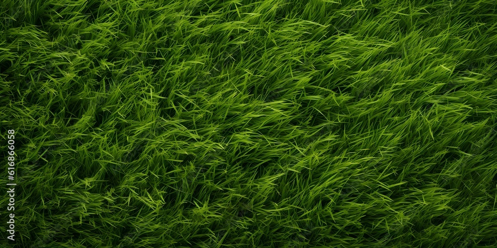 Wide format background image of green carpet of neatly trimmed grass. Beautiful grass texture on bright green mowed lawn, field, grassplot in nature Wide format background image of green carpet of neatly trimmed grass. Beautiful grass texture on bright green mowed lawn, field, grassplot in nature