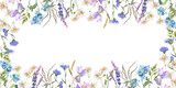 Horysontal frame with Herbs and wild flowers, leaves, butterflies. Botanical Illustration on white background. Template with place for text.