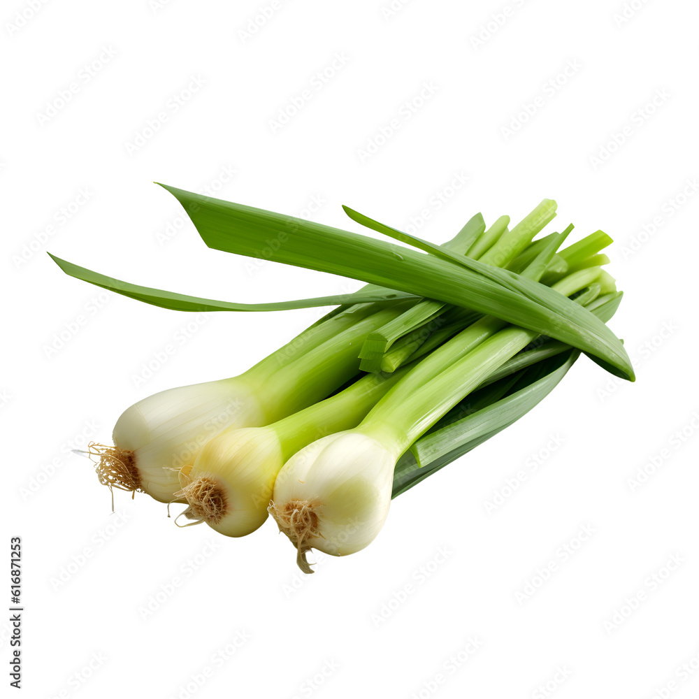 Obraz premium fresh lemongrass bundle