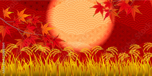 米　月見　秋　風景　背景